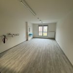 Seniorenkompetenzzentrum Döbeln - Baufortschritt