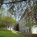 Seniorenresidenz Döbeln - Baufortschritt